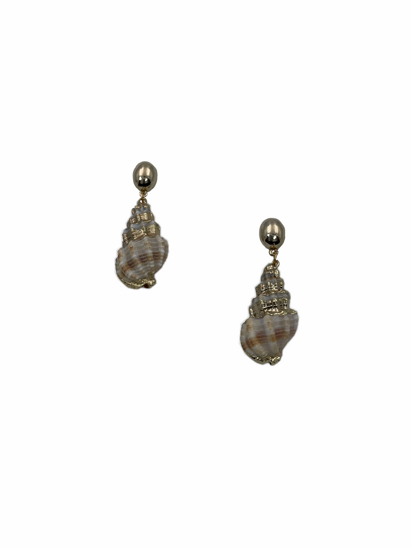 shell earrings