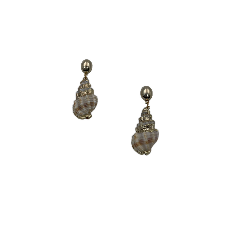 Sea snail earrings